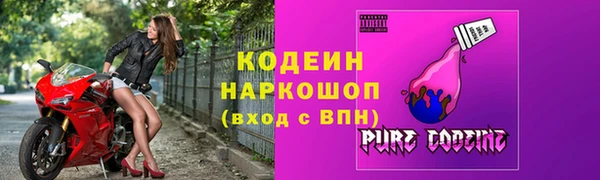 СК Каменногорск
