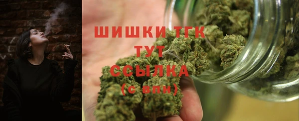 МДПВ Каменка