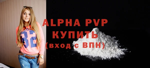 МДПВ Каменка