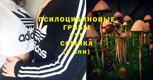 МДПВ Каменка