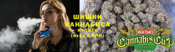 МДПВ Каменка