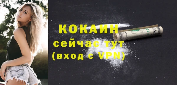 МДПВ Каменка