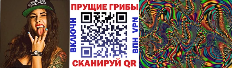 Купить Ессентукская Галлюциногенные грибы ЛСД
